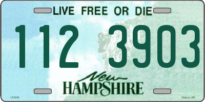 NH license plate 1123903