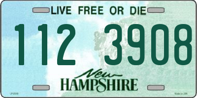 NH license plate 1123908