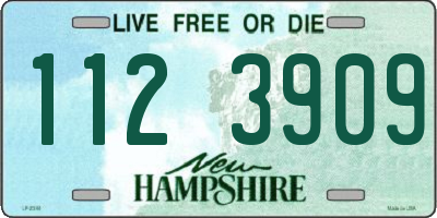 NH license plate 1123909