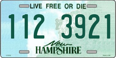NH license plate 1123921