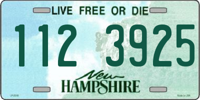 NH license plate 1123925