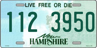 NH license plate 1123950