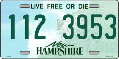 NH license plate 1123953