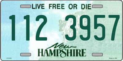 NH license plate 1123957
