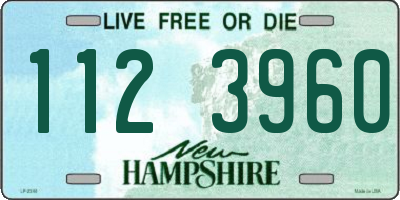 NH license plate 1123960