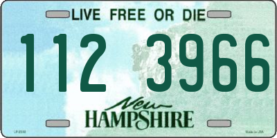 NH license plate 1123966