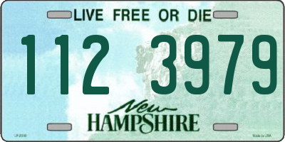 NH license plate 1123979