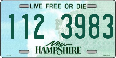 NH license plate 1123983