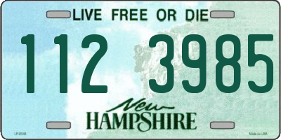 NH license plate 1123985