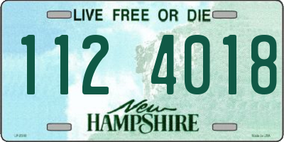 NH license plate 1124018