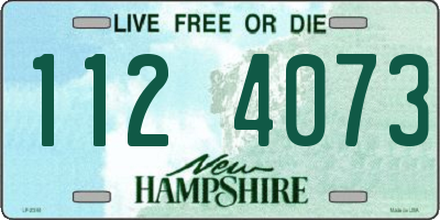 NH license plate 1124073