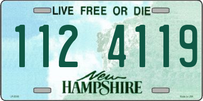 NH license plate 1124119