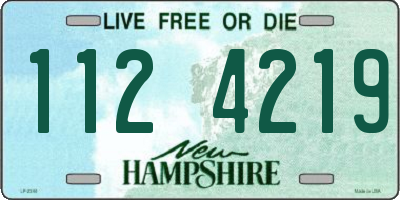 NH license plate 1124219