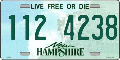 NH license plate 1124238