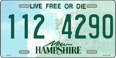 NH license plate 1124290
