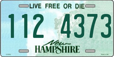 NH license plate 1124373