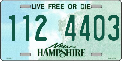NH license plate 1124403
