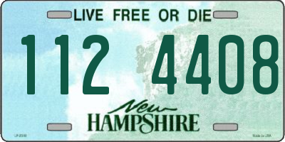 NH license plate 1124408