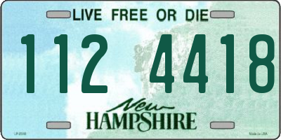 NH license plate 1124418