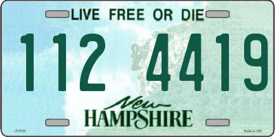 NH license plate 1124419