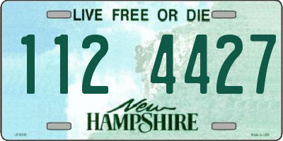NH license plate 1124427