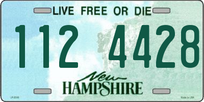 NH license plate 1124428