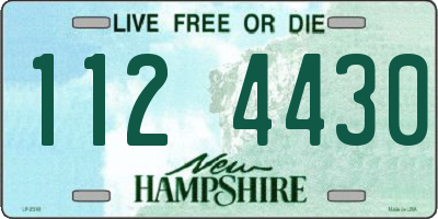 NH license plate 1124430