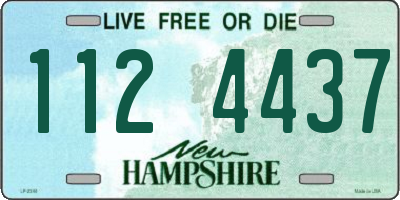 NH license plate 1124437