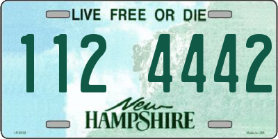 NH license plate 1124442