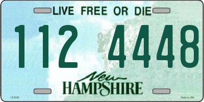 NH license plate 1124448