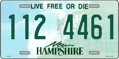 NH license plate 1124461