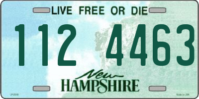 NH license plate 1124463