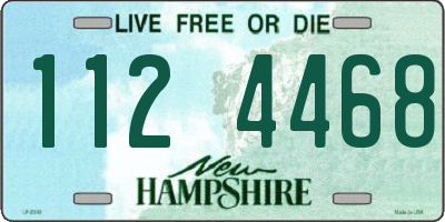NH license plate 1124468