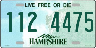 NH license plate 1124475
