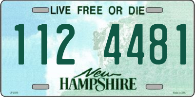 NH license plate 1124481
