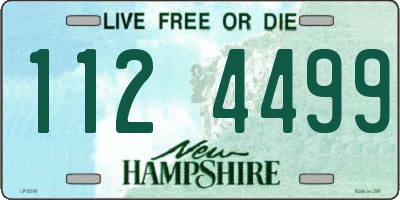 NH license plate 1124499
