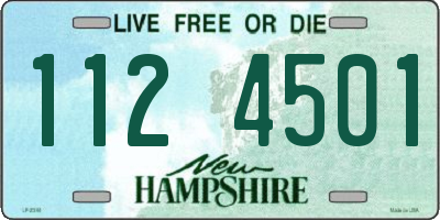NH license plate 1124501