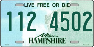 NH license plate 1124502