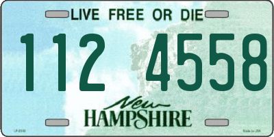 NH license plate 1124558