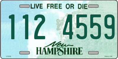 NH license plate 1124559
