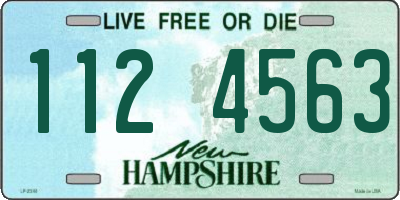 NH license plate 1124563