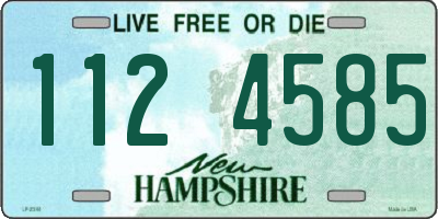 NH license plate 1124585