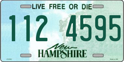NH license plate 1124595
