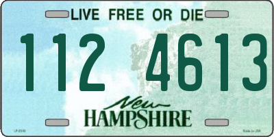 NH license plate 1124613