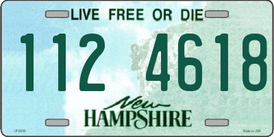 NH license plate 1124618