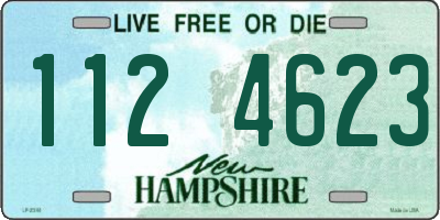 NH license plate 1124623