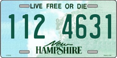 NH license plate 1124631