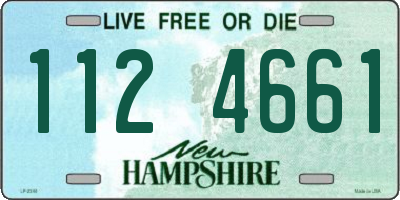 NH license plate 1124661