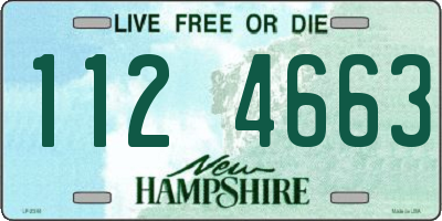 NH license plate 1124663
