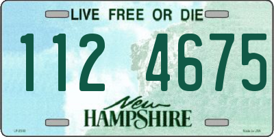 NH license plate 1124675